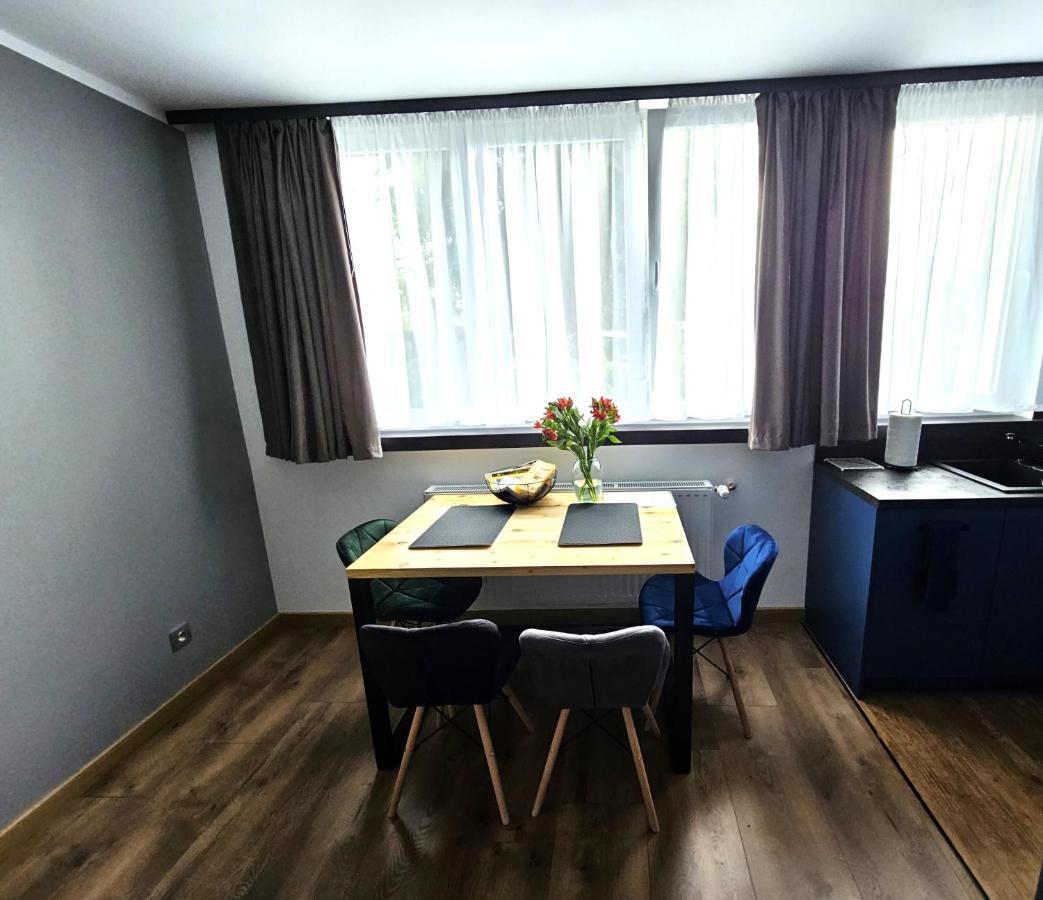Apartament Leszczynska 29 Bielsko-Biala Luaran gambar