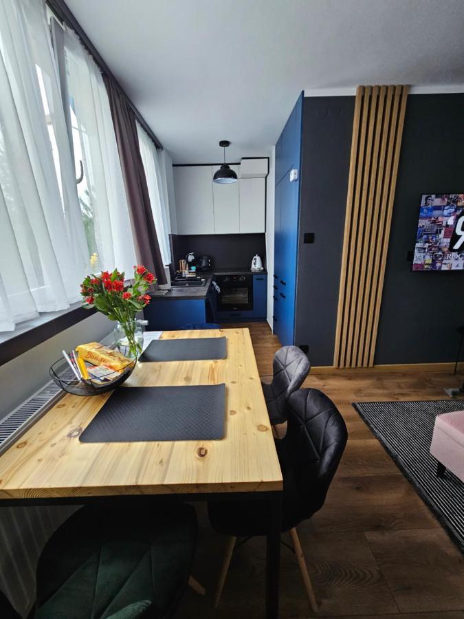 Apartament Leszczynska 29 Bielsko-Biala Luaran gambar